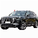  Chinese Luxury EV Electric Vehicle Hongqi Ehs9 6 Seats SUV China Electric Car