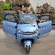  1500W MID Steering Three Wheel Electric Car