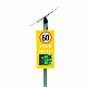  Nanoradar Traffic Speed Measurements Radar Sensor Transitter Car Sensor on The Road