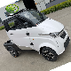  60V 3000W 100ah New Energy Electric Vehicle/Car EEC L6e