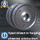  China High Quality Oil-Drilling Lifting with Pulleys (OD810)