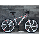 Freestyle Fat Tire Factory Wholesale Bicycle /Hot Sale 26 Inch 21 Speed Mountain Bike Whit Magnesium Alloy 10 Knife Wheel manufacturer