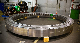 Totem Customized Alloy Gear Wheel Pionion