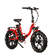 Ebike Electric Hybrid Bike Mountain Bicycle 250W 36V All in One Wheel Foldable Electric Mountain Bike Fat Tire manufacturer