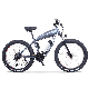  26inch Electric Bike with 36V500W Lithium Battery Fat Wheel Bicycle