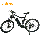  Newest 1000W Newest Lithium Battery Electric Fat Tyre Bike