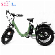  Hot 48 Volt Battery 500W Bike Motor Wheel Kit Electric Tricycle