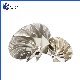  Billet Turbocharger Compressor Wheel for Auto Engine