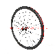  China Factory Supply 24h Aluminum Alloy Bicycle Wheels