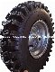  ATV Go-Kart Drift Bike Wheels Beach Car Accessories 16X4.80-8 Tubeless Tire and Rim Wheel