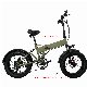 36V 350W 10.4ah Rechargeable Battery Full Suspension Electric Bike Folding E Bike