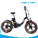  500W 750W Step Through 48V/20ah Folding Electric Fat Motor E-Bicycle