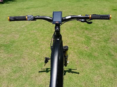 New Design 26" 250W Brushless Motor Lithium Battery Electric Bike