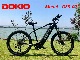  Wholesale Fat Tyre Mountain Electric Bike with Disc Brake