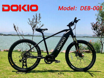 26" 250W 9 Speed 18ah Electric Mountain Bike