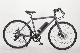  Fast Delivery Factory Outlet 9 Speed 26 Inch Road Bike