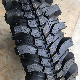  Wanda Journey Brand Bias Tire Mt off Road Mud and Snow M+S Tyre for Jeep Light Truck SUV Wn03 Digger 31X10.5-15/33X10.5-15/35X11.5-15/35X11.5-16/37X11.5-16