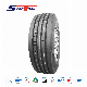  Best TBR Front and Back Wheel Rims Radial Light Truck Tyres 215/70r17.5 8r17.5 8.5r17.5 9.5r17.5 9r22.5 10r22.5 for LTR Use