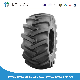  Farm Tyre, Tractor Tyre, Harvester Tyre, Agricultural Tyres with 14.9 -26, 11.2-28, 12.4-28, 14.9-30, 14.9-38, 16.9-28, 16.9-30, 18.4-30