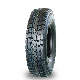  Chinese Radial Double Road Truck Tires 900r20