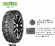  Everton Brand 205/55r16 Winter Tire Snow Tyre Snowfield Ice Surface