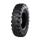 China New Popular Pattern Best Quality Truck Tire on Sale