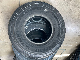  1100r20 1200r20 12r22.5 315/80r22.5 Truck Tire Gladstone Brand Gt836 Wholesale High Quality Competitive Price Hot Sale at Vietnam, Pakistan Afghanistan