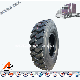  Good Quality Heavy Duty Raidal TBR Truck Tire 11.00r20