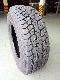  Passenger Car Tire Passenger Car Tire Centara Brand Top Quality Tire in China 175/60r13 205/55/ 16 215/55/17 235/55/19 245/45/18 275/45/20 235/60/18 for Sale