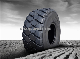 OTR Radial Tire 24.00r25 Cat 773 Tyre