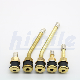  Himile Car Tire Valve Tr500 High Quality Valve, Bus and Heavy-Duty Truck Valves Tubeless Tyre Valves
