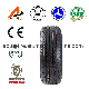 Radial Car Light Truck LTR PCR Passenger Tyre (175/70R13, 195R15C)