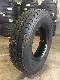  8.25r20 16pr Light Truck Tires/Radial Truck Tires/TBR Tires/Truck Tyres with DOT, ECE, Gso