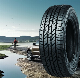  Lower Price Top Quality PCR Tyre China Brand Car Tyre 185/65r15, 195/65r15