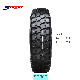  Wholesale Chinese All Steel Truck Tire 750r16 825r16 825r20 Radial Light Truck Tires Price