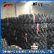 China Truck OTR Tyre/Tire 16.00-24 for Sale manufacturer