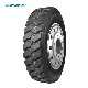  Anemoi 7.00r16lt Long Wear Life Stable & Durable All Position Light Truck Tire for off Road Use