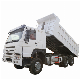 Used HOWO 6X4 Dump Truck Tubeless Tires 12r22.5 in Sale