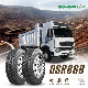  Double Star / Doublestar Tubeless Cargo Light Truck Tires 245/70/19.5 Low Flatbed Trailer Tyre 24570r19.5 16pr Medium Bus Tire Dsr116 Dsr266 Dsr08A 245/70r19.5
