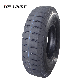  LTB Chinese Light Truck Tire 9.00-16 900-16, More Addictive in Truck Tire Field.