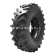  Honour Farm Tractor Agriculture Tires on R1/R2/R3/F1/F2/F3/I1 Paddy Shattercrane Implement Irrigation Monster Truck Combine Harvester (14.9-24, 16.9-28)