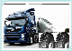  Roadlux 385/65r22.5 Truck Tire 315/80r22.5 on Sale From China