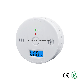  Home Security CE RoHS Independent Battery Operated Co Gas Sensor Carbon Monoxide Leak Alarm Detector