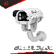  Banovision Security Surveillance Home Video 2MP 5MP 4K CCTV Car License Plate Recognition Waterproof IP Camera From CCTV Camera Supplier