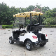  Custom Cart with All Accessories Vehicle Golf Electric Car EEC
