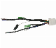  OEM Wire Harness Cable Assembly for Automobile Vehicle Car Accessories