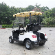  Buggy/Golf Carts Marshell CE China Custom Golf Cart All Accessories Mini Car Electric Vehicle with Good Price
