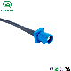 Custom Auto Wire Harness Cable Assembly for Car Accessories