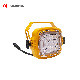  3030 Warm White Romanso or ODM Car Accessories Dock Lighting
