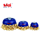  Sali High Quality Brass Wire Cup Brush for Removing Rust and Paint